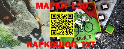 стаф Малгобек