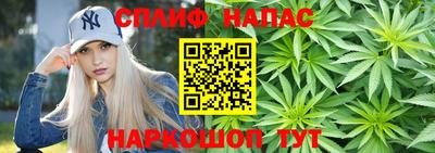 стаф Малгобек